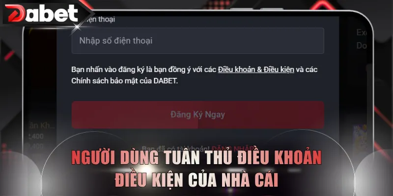 Người dùng tuân thủ điều khoản điều kiện của nhà cái